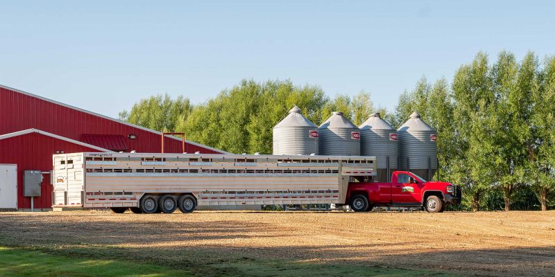 Reicks View stock trailer